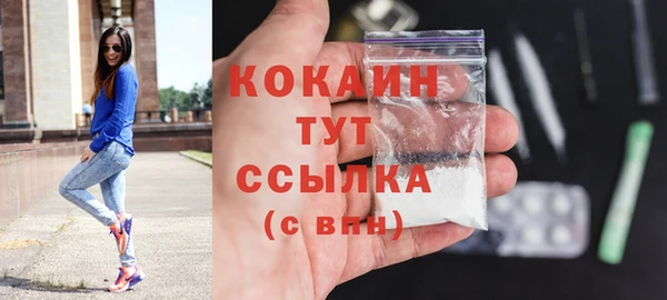 spice Осинники