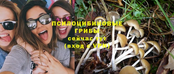 эйфоретик Осташков