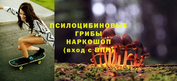 эйфоретик Осташков