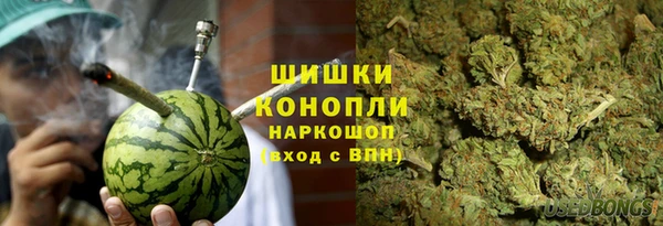 spice Осинники