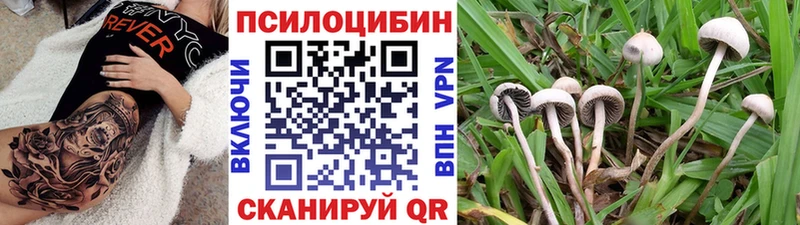 Галлюциногенные грибы ЛСД Кизилюрт