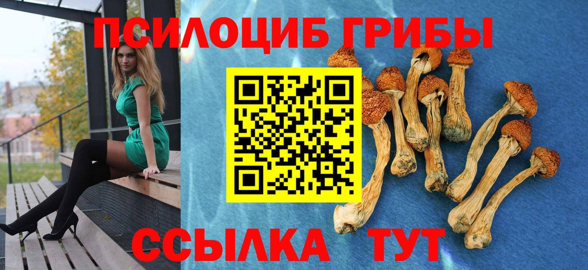 Псилоцибиновые грибы Psilocybine cubensis  Вход с VPN  Кизилюрт 